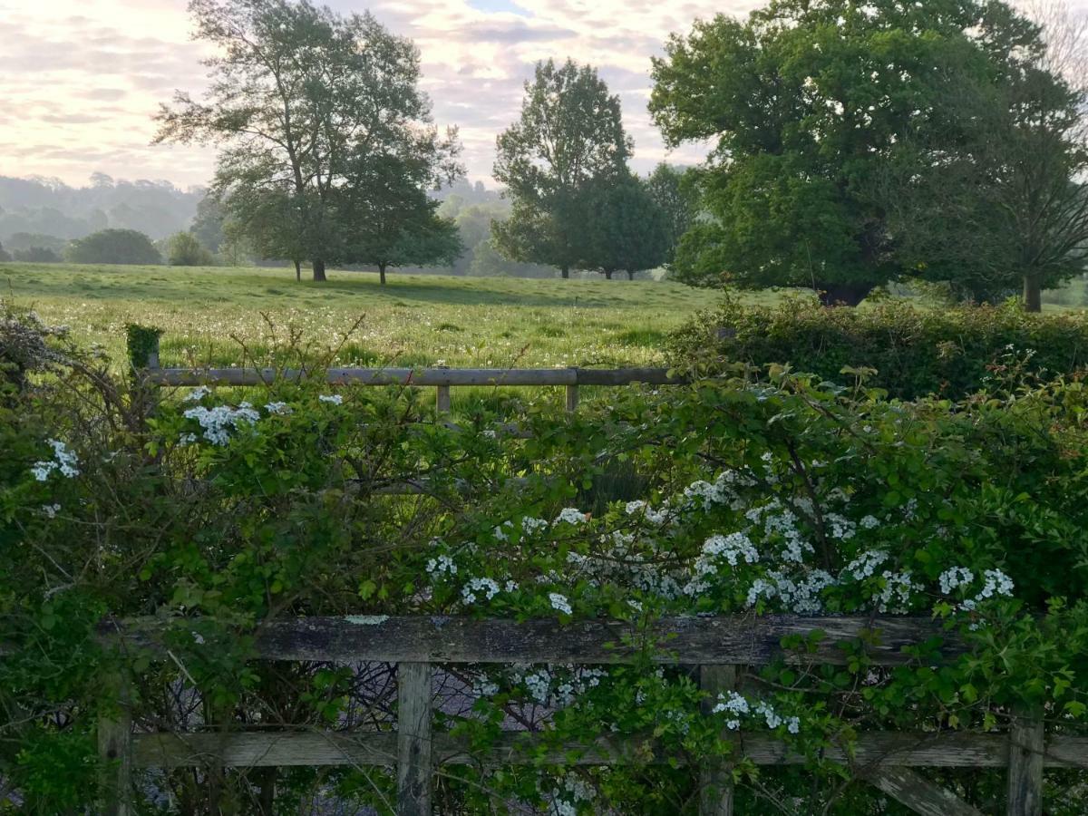 Potts Farm Villa Tenterden Buitenkant foto